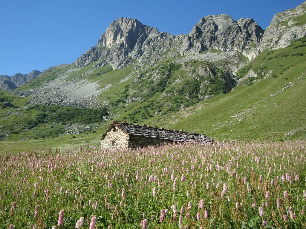 Bed & Breakfast Barba Bertu Frassino Exteriör bild